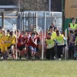 Tameside Primary Schools Cross Country Champs
